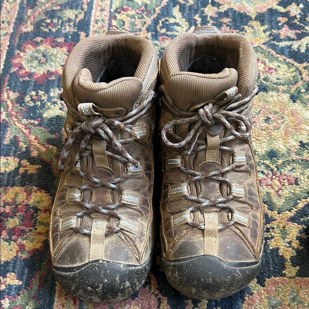Brown Hiking Boots
